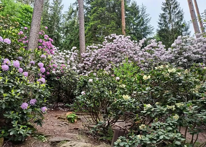 Am Freibad באד ברקה